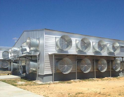 Chicken Farm Building